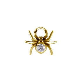 Charm Clicker Ring Anhänger Gold Spinne mit Kristall PVD