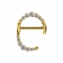 1 Paar Nippel Piercing Clicker Ring gold Kristalle 24K plattiert PVD