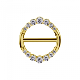 1 Paar Nippel Piercing Clicker Ring gold Kristalle 24K plattiert PVD