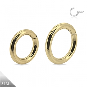 2mm Segmentring Clicker Gold PVD Septum Ring