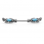 1 Paar Nippel Piercing Feder Turquoise