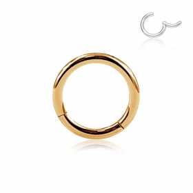 0,8mm Titan Segmentring Clicker Roségold PVD – Leichtes Einsetzen dank Scharnier 0,8mm Titan Segmentring Clicker Roségold PVD – Leichtes Einsetzen dank Scharnier
