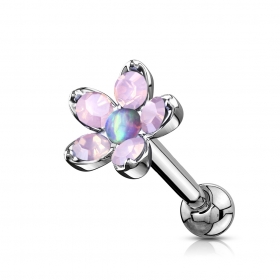 Tragus Helix Opal purple Blume